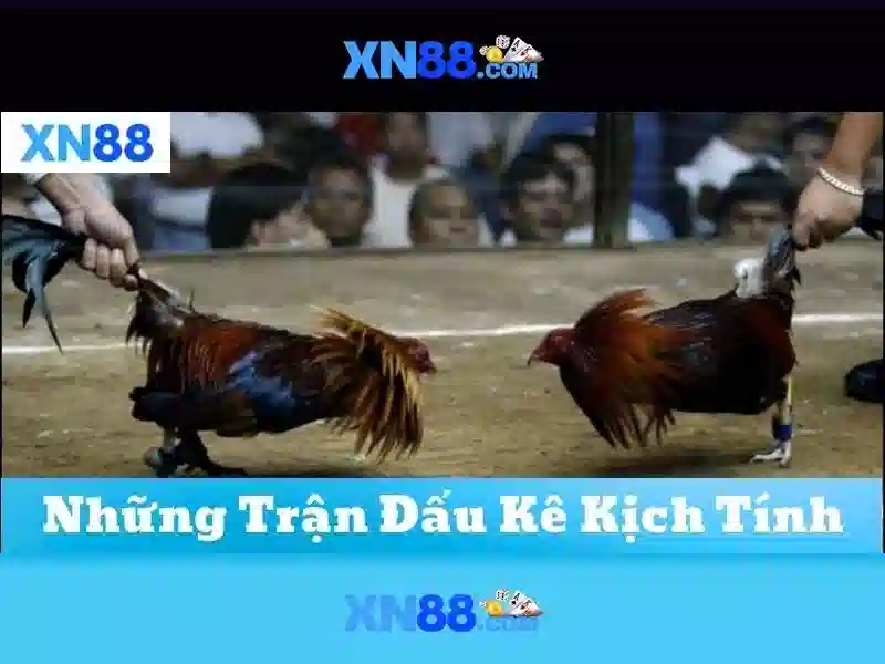 Nền tảng Slot XN88