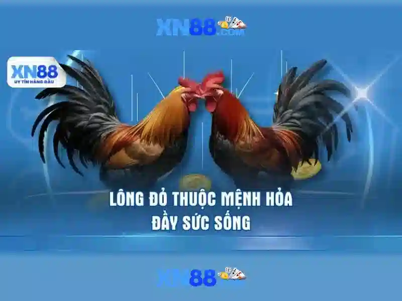 Chiến Thuật Slot XN88