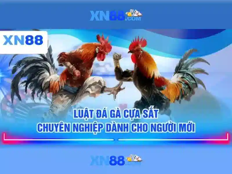 Tải app XN88