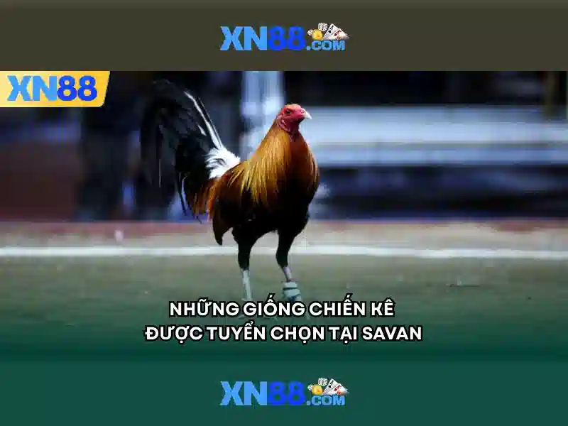 tai xn88 – Trang Chủ Slot, Game Slot, Slot Online, Slot 24h, Slot 2026