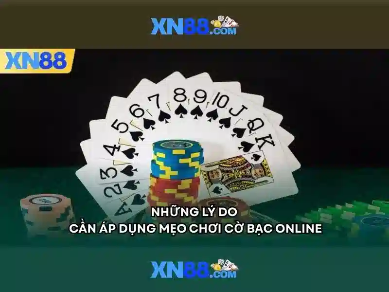 Điều Khoản Và Điều Kiện XN88