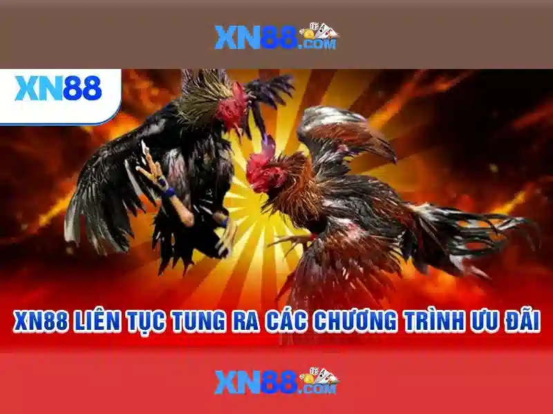 Trải nghiệm cá cược an toàn tại XN88