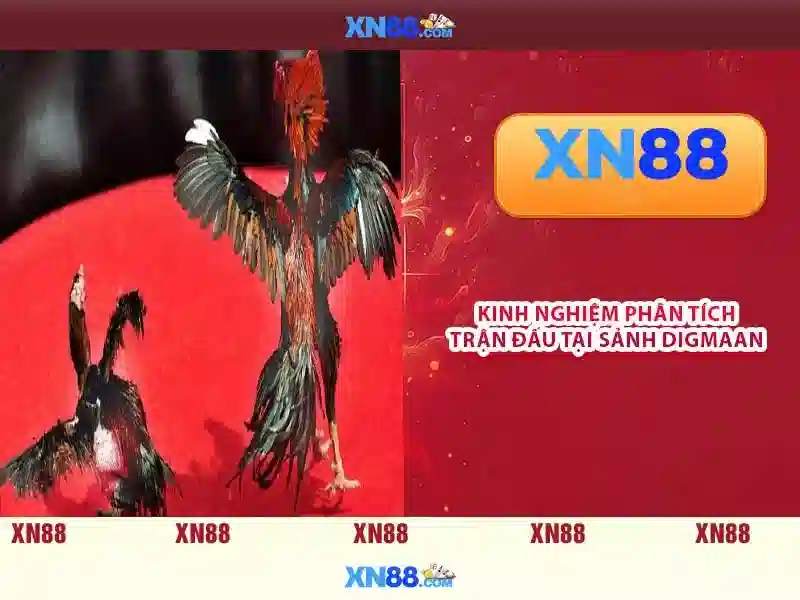 tỷ lệ thắng cao XN88