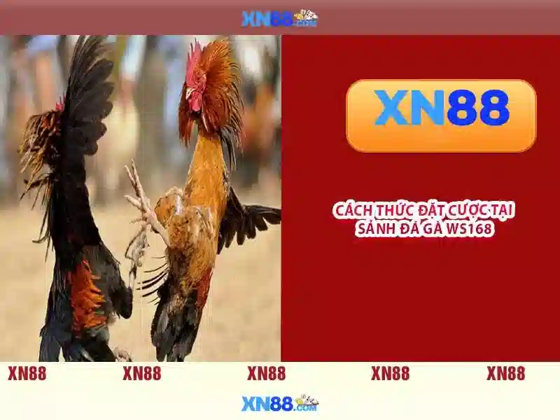 XN88 - Trải Nghiệm Slot Đỉnh Cao Với Giao Diện Hiện Đại 2026