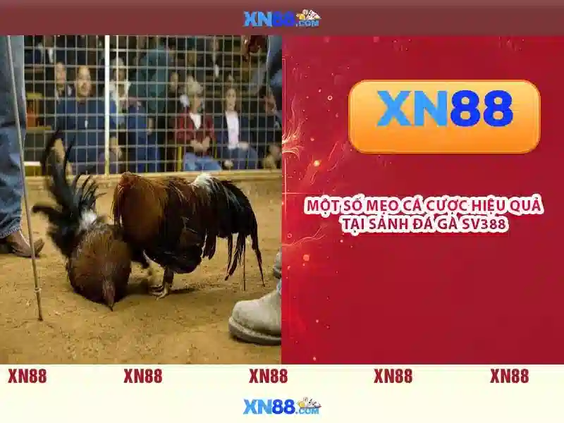 Trải nghiệm slot tại xn88