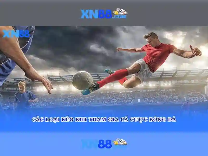 Chương Trình Hoàn Trả XN88