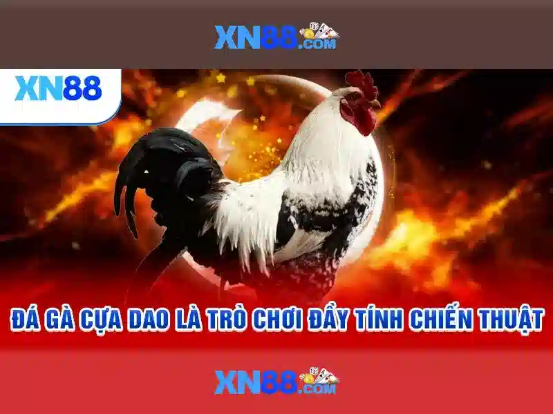 Hướng Dẫn Tải XN88 2026