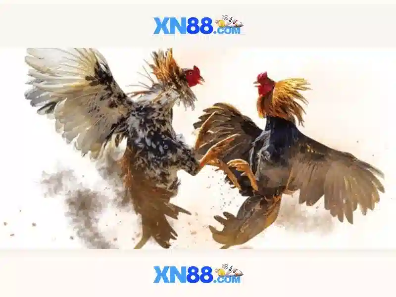Xổ Số XN88 – Đánh Thức Cảm Giác Mua Thẻ Cào