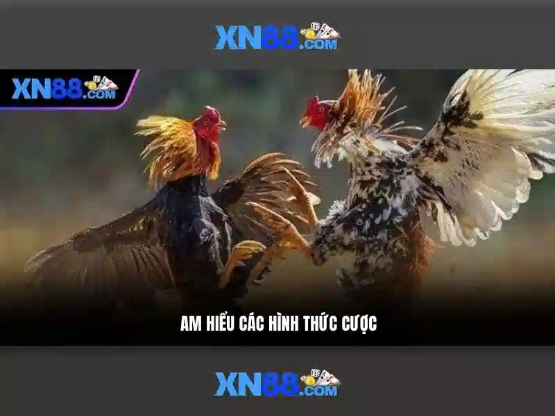 XN88 – Trải Nghiệm Slot Đỉnh Cao 2026