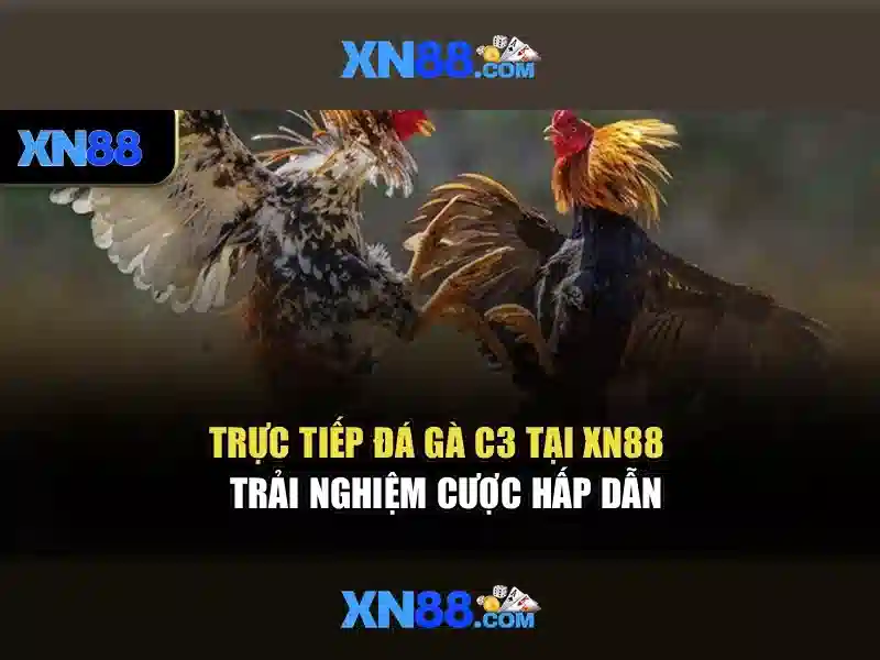 Điều khoản tải XN88