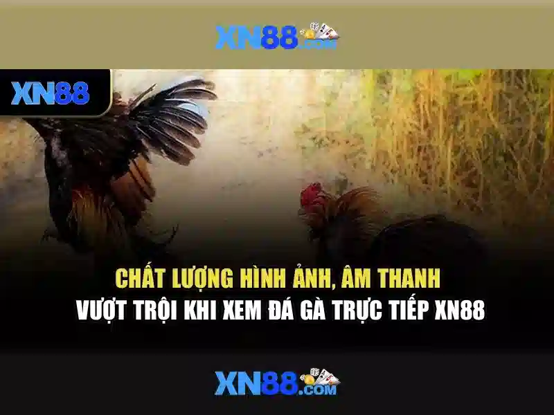 Khám Phá XN88 Win