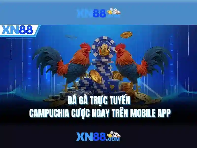 ưu điểm tỷ lệ thắng cao XN88