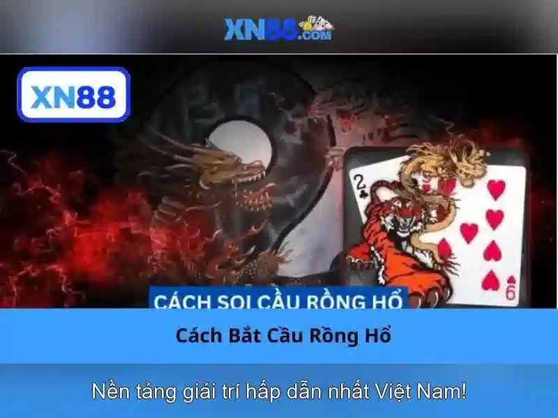 tính năng XN88