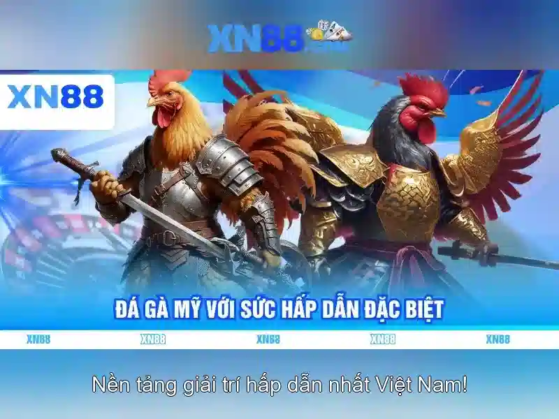 Khuyến Mãi Độc Quyền Cho Người Chơi XN88