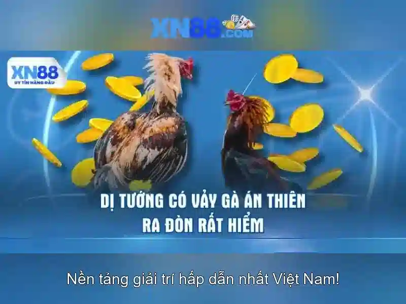 Trải Nghiệm Slot Đỉnh Cao
