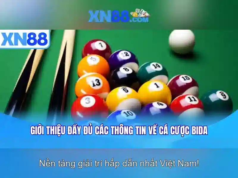 Ưu Đãi Đặc Biệt