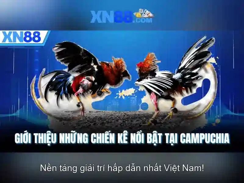 Lợi Ích Ứng Dụng