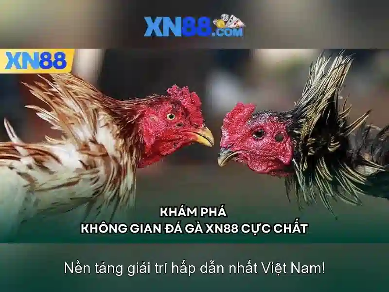 Khuyến Mãi Slot
