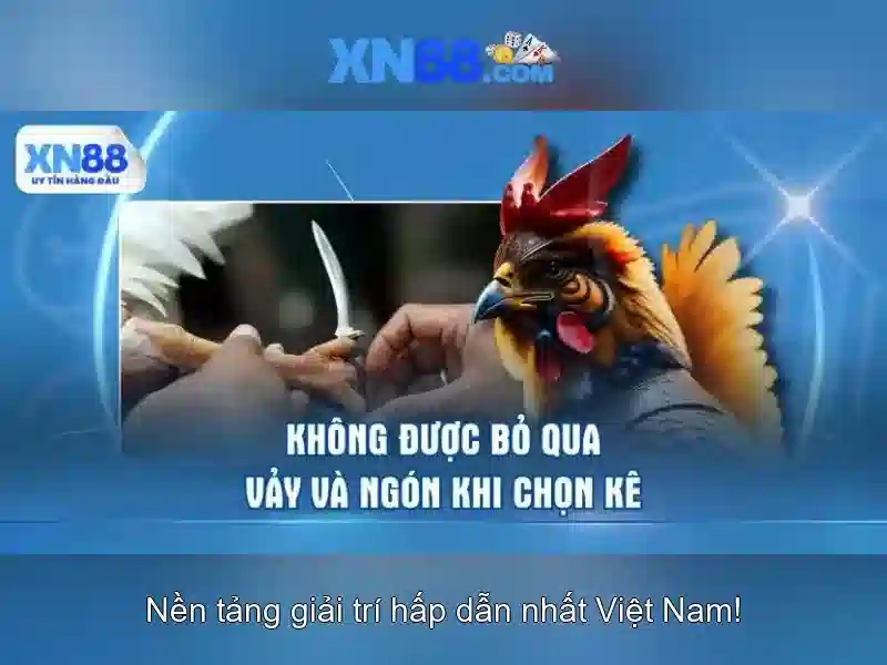 XN88 Slot Đỉnh Cao