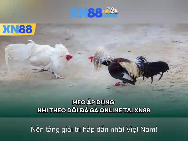 Khuyến Mãi XN88