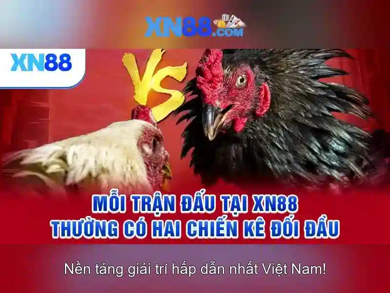 Đa Dạng Tựa Game Slot Tại XN88