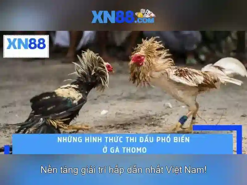Trải Nghiệm Slot Đỉnh Cao