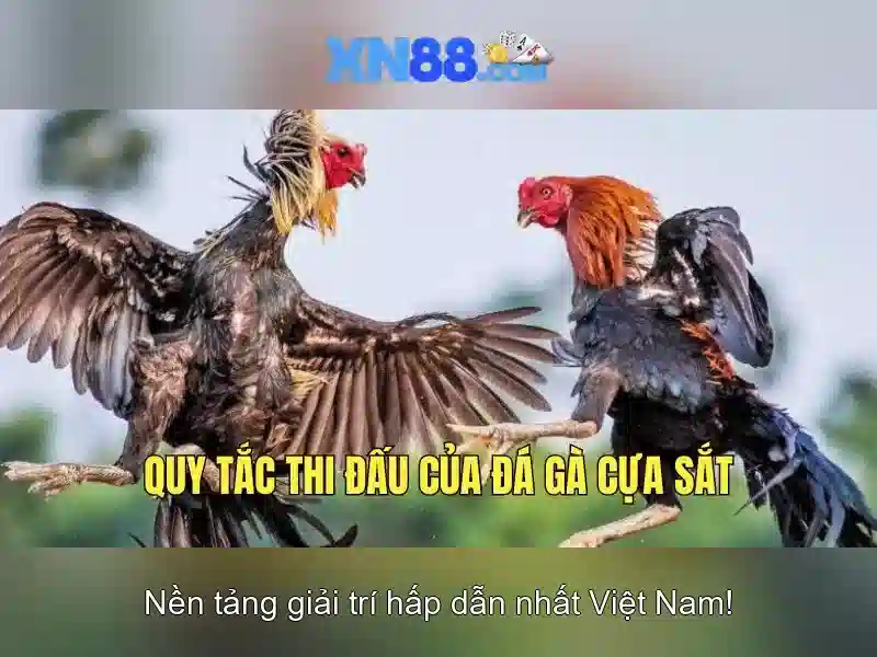 Hướng Dẫn Tải