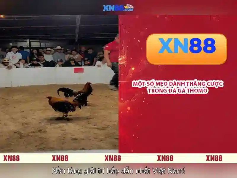 Đa Dạng Trò Chơi Trên XN88