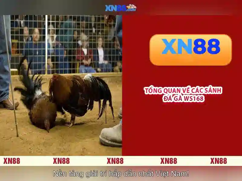 Rút tiền Slot XN88 nhanh chóng