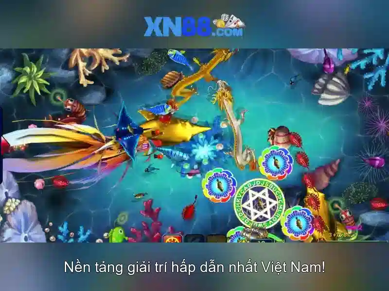app XN88