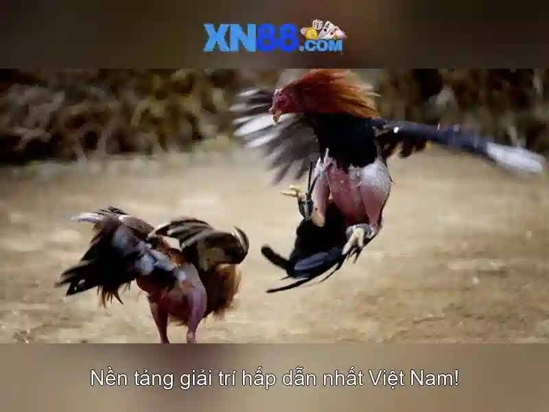 Ưu điểm XN88