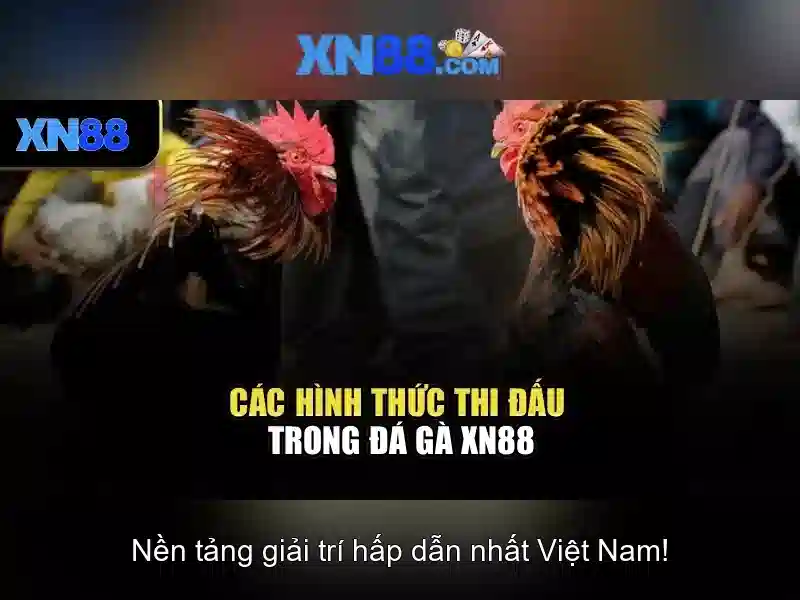 Trải nghiệm slot đỉnh cao